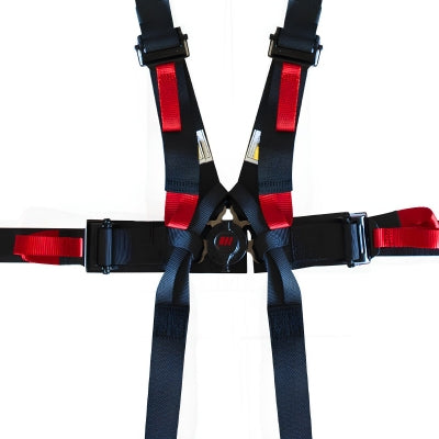 SINGLE-SEATER 2" Gurt